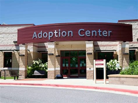 Magical critter adoption facility